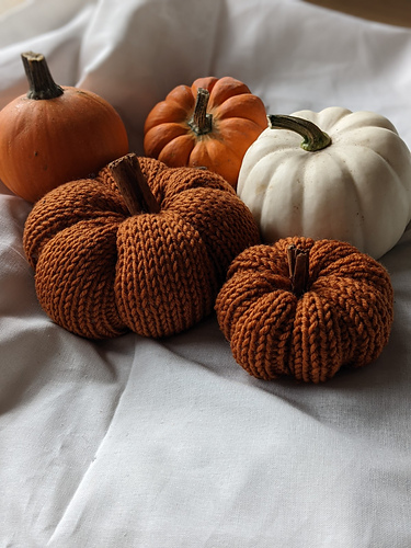 PXL_20220919_093115917.