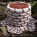 Wishing Well photo 4
