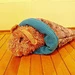 Toy Guinea Pig pattern 