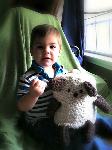 Stuffed Animal Blanket photo 4