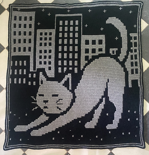 Kat in de stad bij nacht