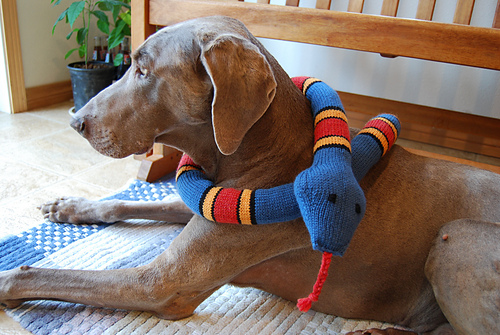 Ravelry: Striped Snake pattern by Sarah Ann Thompson