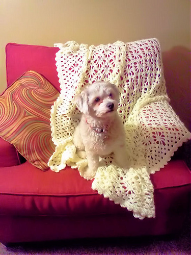 Tangleweb Afghan or Wrap photo 1