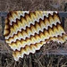 Grandma Spiked My Ripple Blanket pattern 