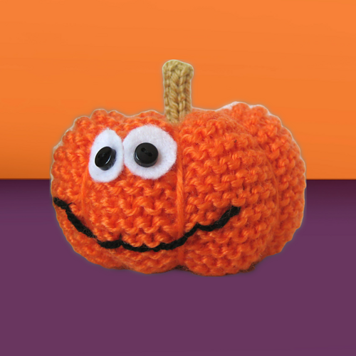 Pumpkin photo 3