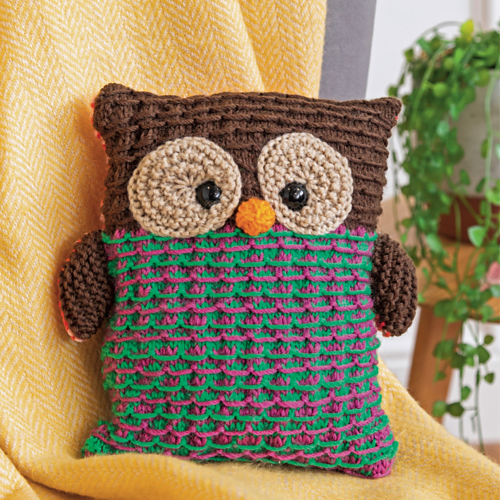 Cosy Owl