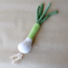 Spring Onion pattern