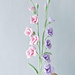 Freesia flower pattern 