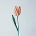 Tulip pattern 