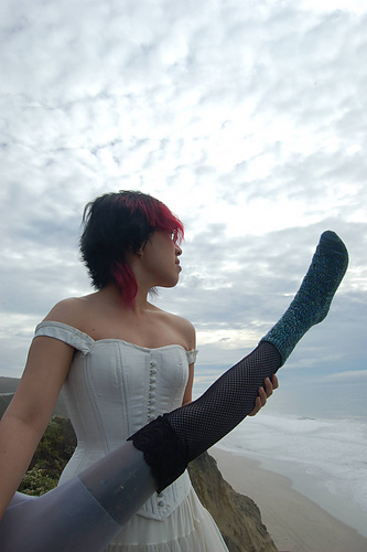 Pomatomus photo 10