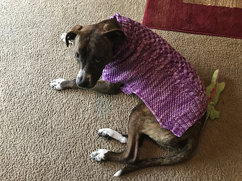 Cabled Dog Sweater photo 3