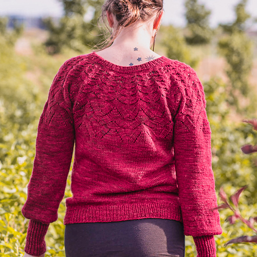 Ravelry: Arborescent Sweater pattern by Gabrielle Vézina