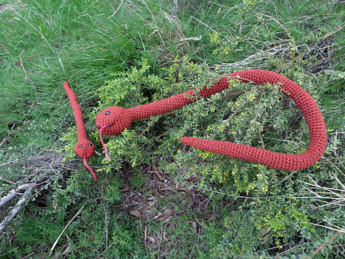 Australian Eastern Brown Snake photo 2