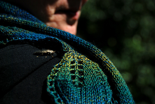 Meliae - Su Sunderland