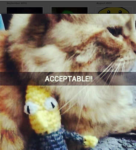 Mini Earl Lemongrab! (Adventure Time) - Pessimistic Optimist