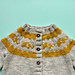 Baby Elephant Cardigan pattern 