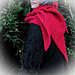Overcoat Shawl pattern