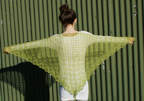 Bella Botanica Shawl photo 4