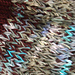 24-hour Shrug photo 4