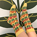 Frida Kahlo Socks pattern 