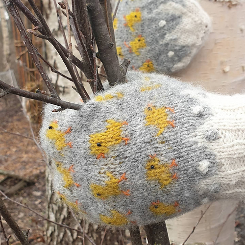 Våryre kyllinger - Hege Dagestad