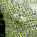 Crochet T-shirt Yarn Tote photo 4