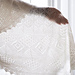 Mary's Shawl pattern 