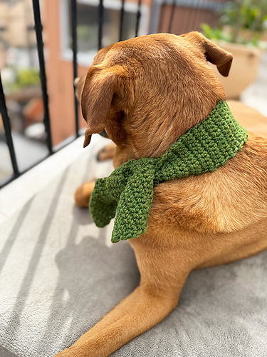 Lucky Charm Dog Scarf photo 4