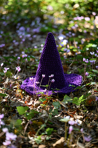 Witch Hat photo 3