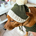 Bobble Dog Hat With Ear Holes pattern