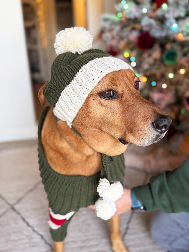 Bobble Dog Hat With Ear Holes photo 4