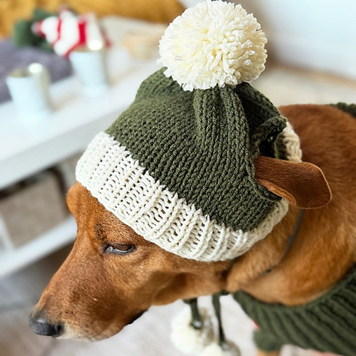 Bobble Dog Hat With Ear Holes photo 7