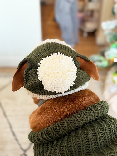 Bobble Dog Hat With Ear Holes photo 2