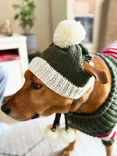 Bobble Dog Hat With Ear Holes photo 5
