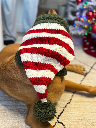 Dog Elf Hat photo 5