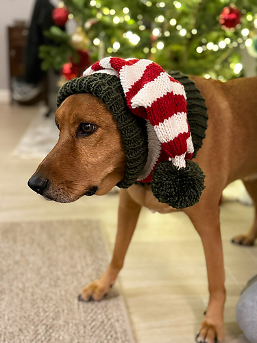Dog Elf Hat photo 2