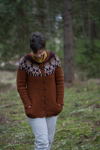 Vottene Hvitbladtistel / Melancholy Thistle - hanikka