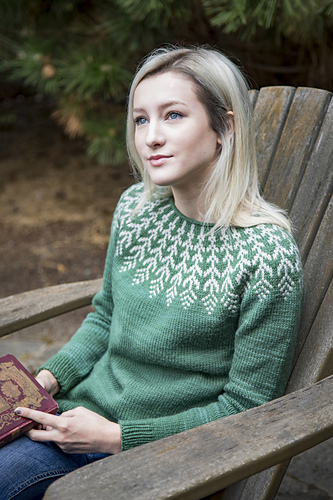 Skogsrå og fjær - Karen DeWitz