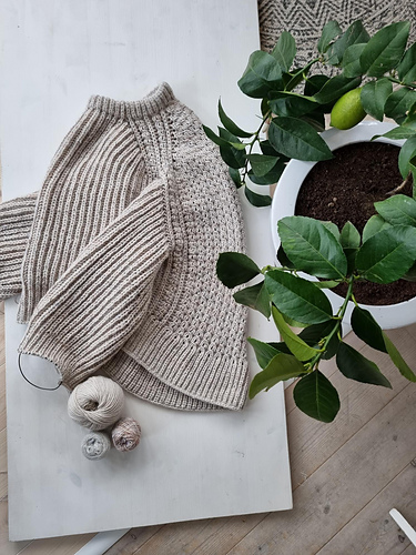 Kyss meg over gjerdet - Hanna Heedman