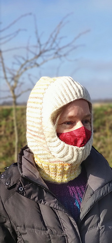 Wanted a hood: got a ski mask. Oh, well.