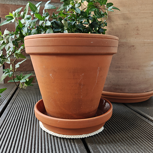 Planter Coaster photo 2