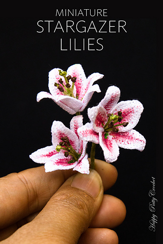 mini_stargazer_lily_7_medium.jpg