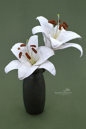 lilyです beginner-lily-