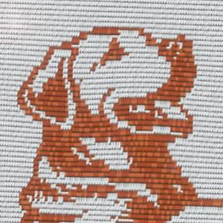 Close up detail of the dog's head