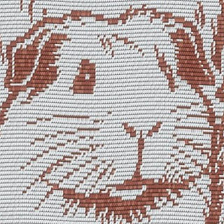 A close up of a guinea pig's face.