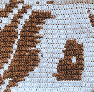 Detail of a guinea pig's eye