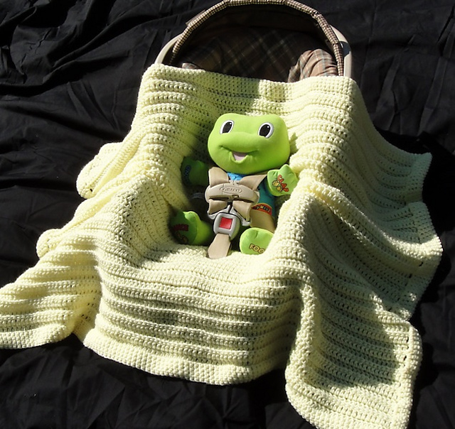 Simply Sweet Car Seat / Stroller Baby Blanket