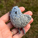 little pigeon mały gołąb knitting pattern