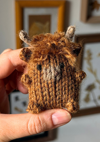 henry the tiny highland cow