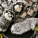Rollur MIttens pattern 